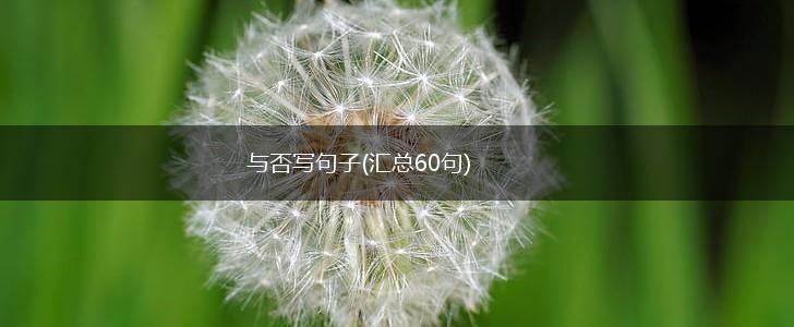 与否写句子(汇总60句),第1张