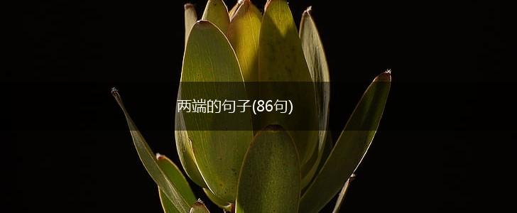 两端的句子(86句),第1张
