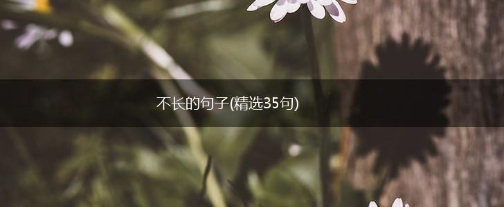 不长的句子(精选35句),第1张