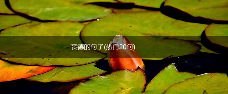 丧德的句子(热门20句),第1张