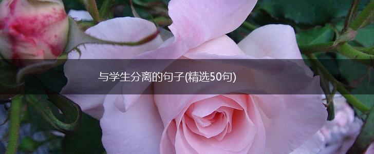 与学生分离的句子(精选50句),第1张
