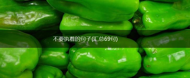 不要执着的句子(汇总69句),第1张