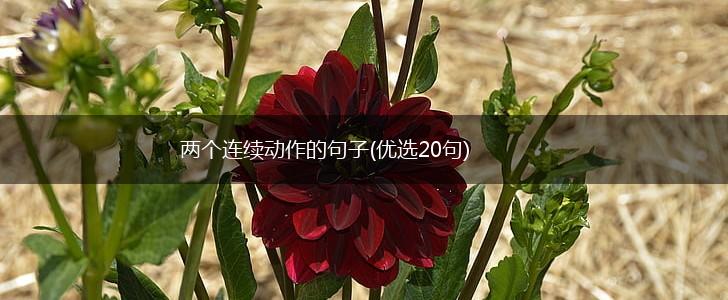 两个连续动作的句子(优选20句),第1张