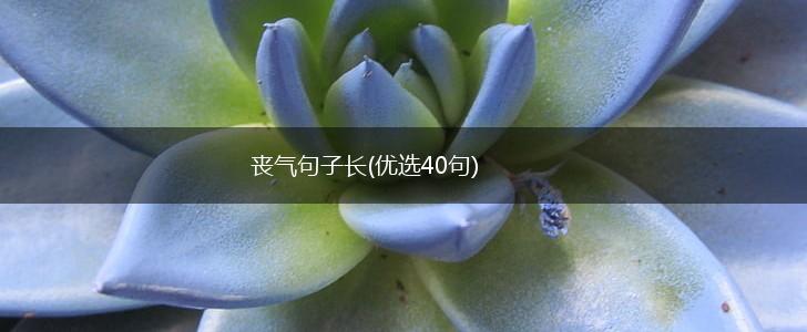 丧气句子长(优选40句),第1张