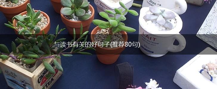 与读书有关的好句子(推荐80句),第1张
