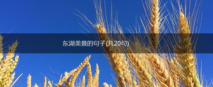 东湖美景的句子(共20句),第1张