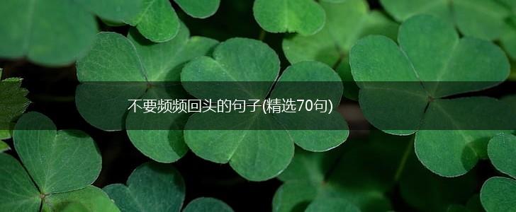 不要频频回头的句子(精选70句),第1张