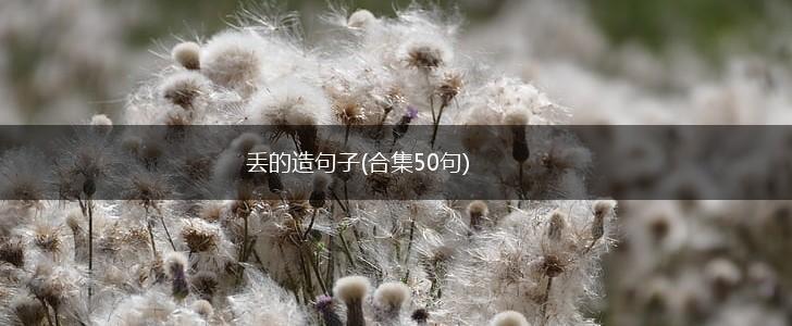 丢的造句子(合集50句),第1张