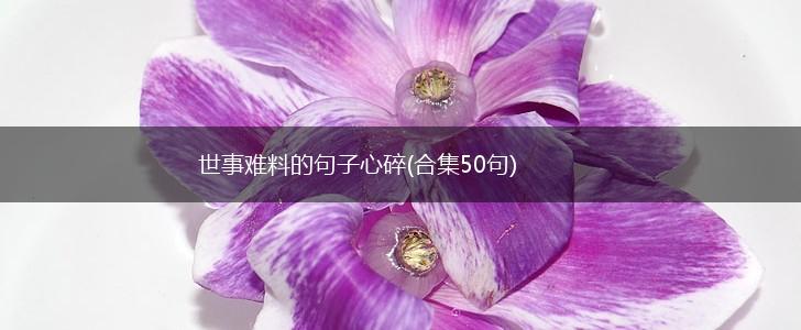 世事难料的句子心碎(合集50句),第1张