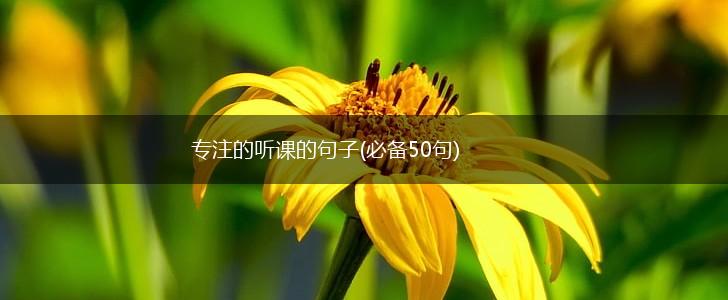 专注的听课的句子(必备50句),第1张