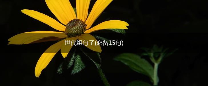 世代组句子(必备15句),第1张