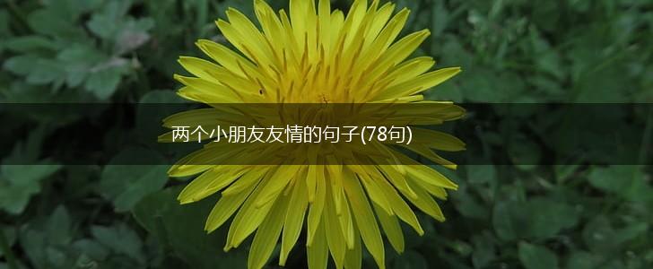 两个小朋友友情的句子(78句),第1张
