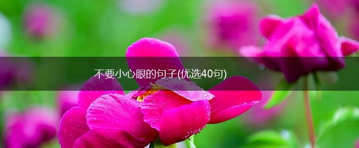 不要小心眼的句子(优选40句),第1张