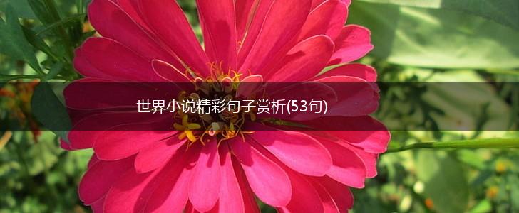 世界小说精彩句子赏析(53句),第1张