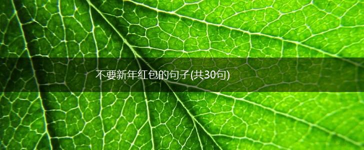 不要新年红包的句子(共30句),第1张