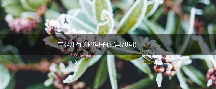 与提升有关的句子(实用70句),第1张