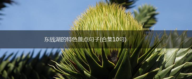 东钱湖的特色景点句子(合集10句),第1张