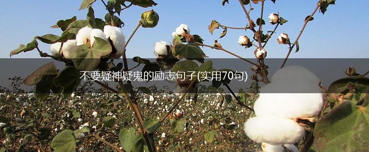 不要疑神疑鬼的励志句子(实用70句),第1张