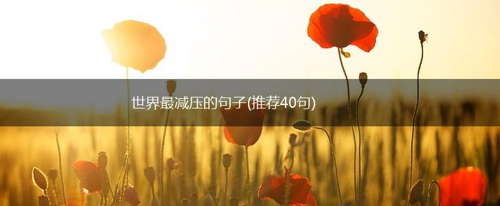 世界最减压的句子(推荐40句),第1张