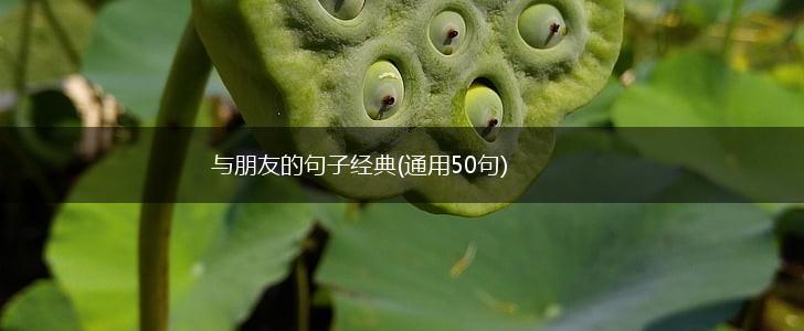与朋友的句子经典(通用50句),第1张