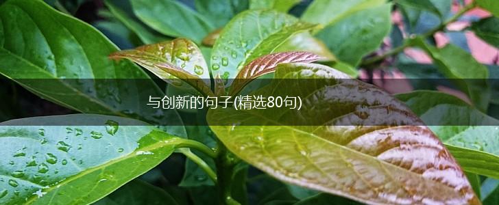 与创新的句子(精选80句),第1张