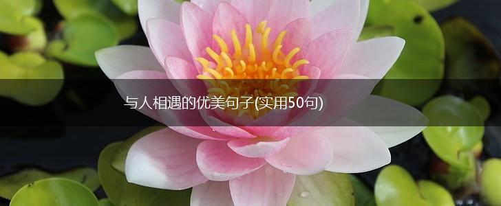 与人相遇的优美句子(实用50句),第1张