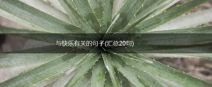 与快乐有关的句子(汇总20句),第1张