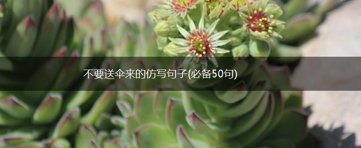 不要送伞来的仿写句子(必备50句),第1张