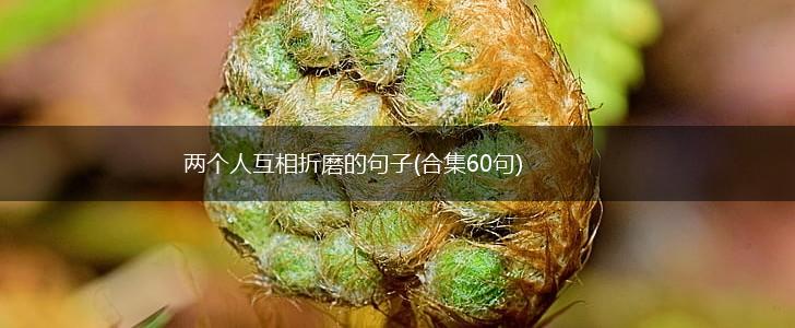 两个人互相折磨的句子(合集60句),第1张