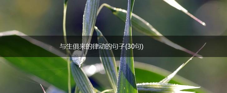 与生俱来的律动的句子(30句),第1张