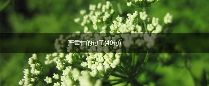 严重性的句子(40句),第1张