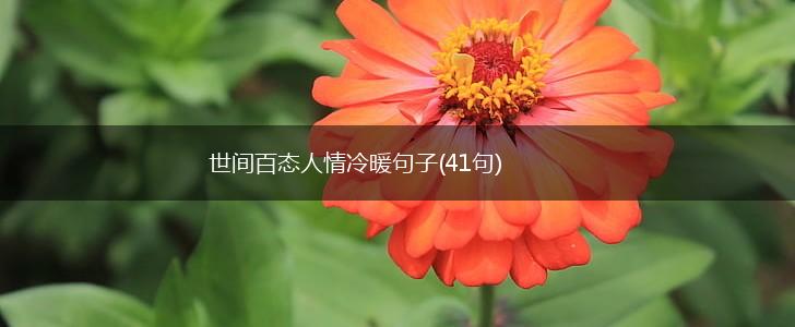 世间百态人情冷暖句子(41句),第1张