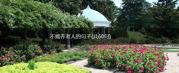 不赡养老人的句子(共60句),第1张