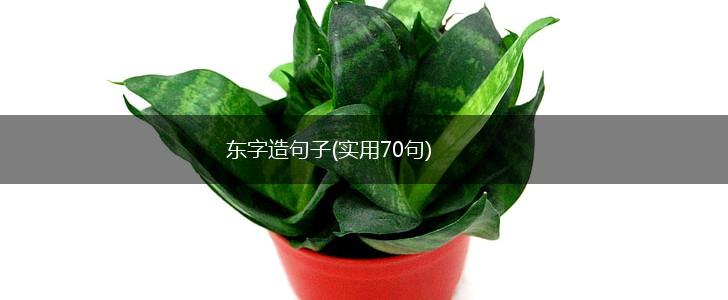 东字造句子(实用70句),第1张