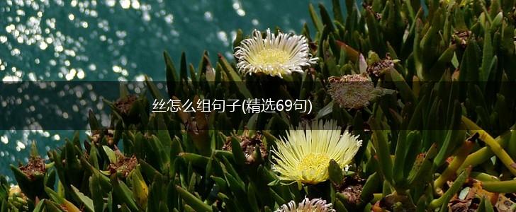 丝怎么组句子(精选69句),第1张