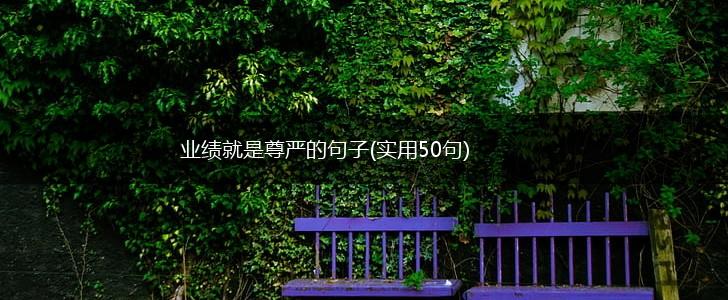 业绩就是尊严的句子(实用50句),第1张
