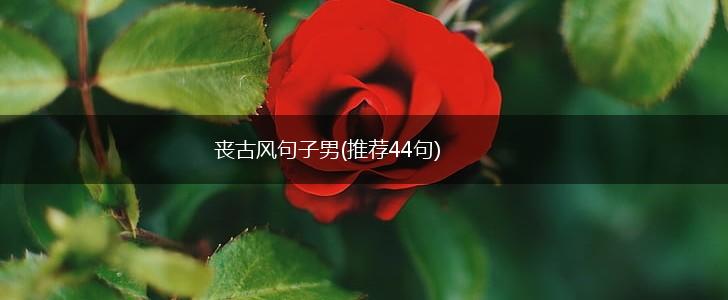 丧古风句子男(推荐44句),第1张