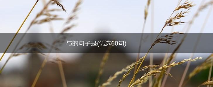 与的句子是(优选60句),第1张