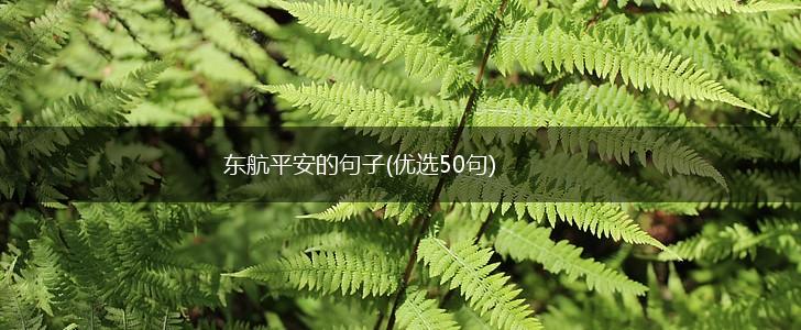 东航平安的句子(优选50句),第1张