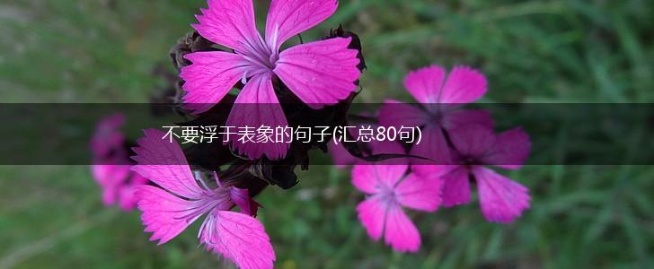 不要浮于表象的句子(汇总80句),第1张