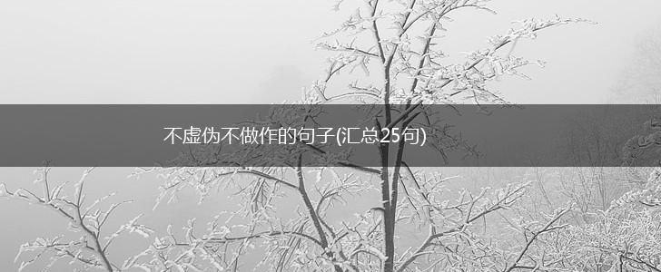 不虚伪不做作的句子(汇总25句),第1张