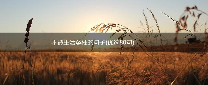 不被生活冤枉的句子(优选80句),第1张