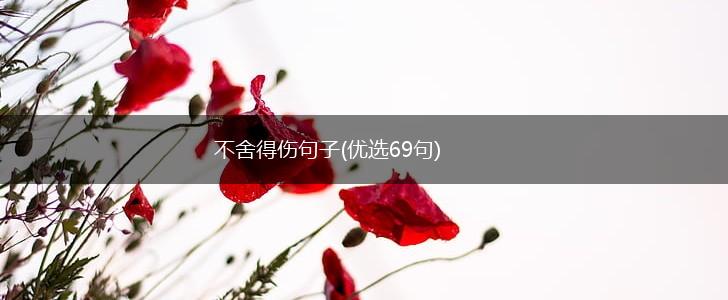 不舍得伤句子(优选69句),第1张
