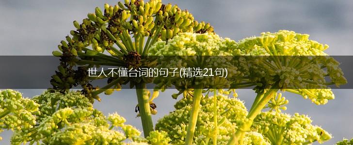 世人不懂台词的句子(精选21句),第1张