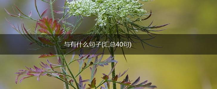 与有什么句子(汇总40句),第1张