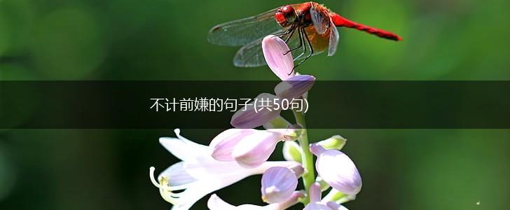 不计前嫌的句子(共50句),第1张
