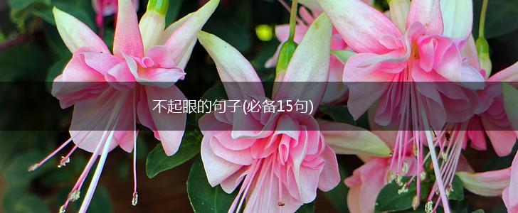 不起眼的句子(必备15句),第1张