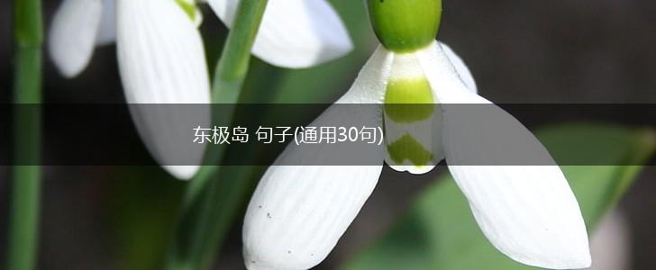 东极岛 句子(通用30句),第1张