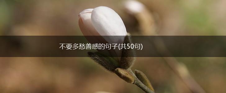 不要多愁善感的句子(共50句),第1张