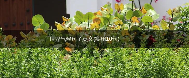 世界气候句子英文(实用10句),第1张